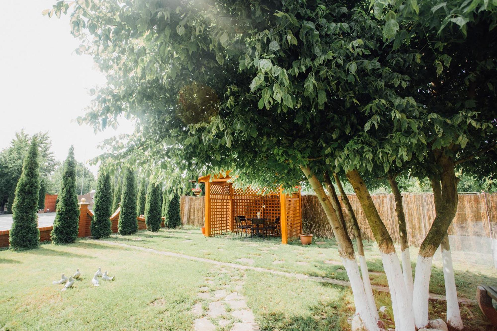 Villa Fenix Beregovo Exterior foto